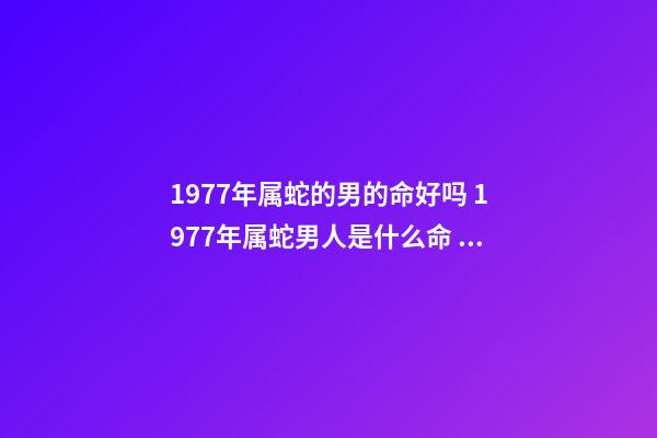 1977年属蛇的男的命好吗 1977年属蛇男人是什么命 77年蛇男的一生命运如何，1977年属蛇人的后半生命运-第1张-观点-玄机派